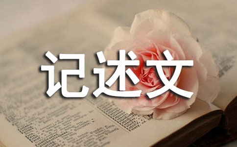 ů�����ļ�����