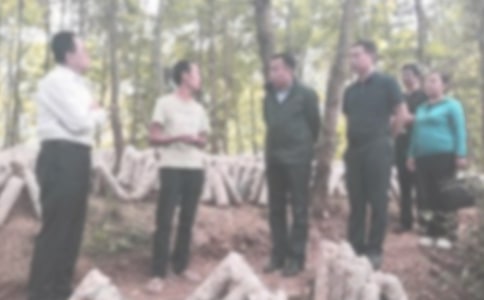 �ͼ첿��ȹ����ܽ�