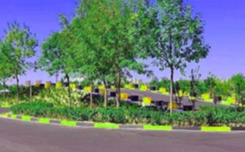 驾校个人年度工作总结