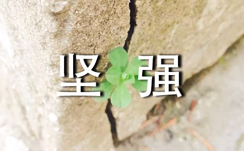 2024年形容坚强的句子合集67条