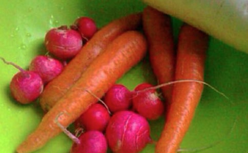 精选心理健康教学工作总结