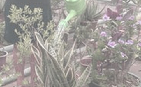 ���ڽ������ռ�100��