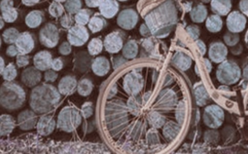 ѧ���̤����������300��