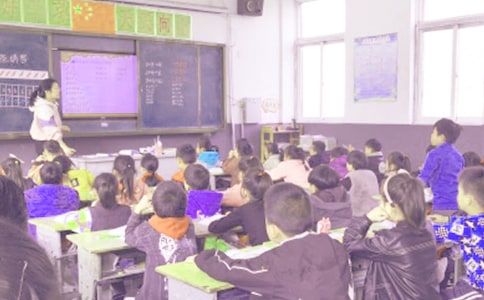 小学五年级美术上册《草丛中》的教学反思