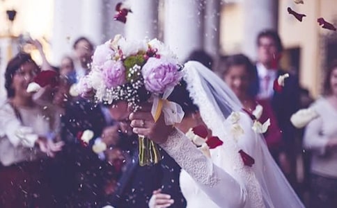 �������ݽ���