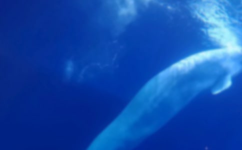 Сѧ��д���������400��_����