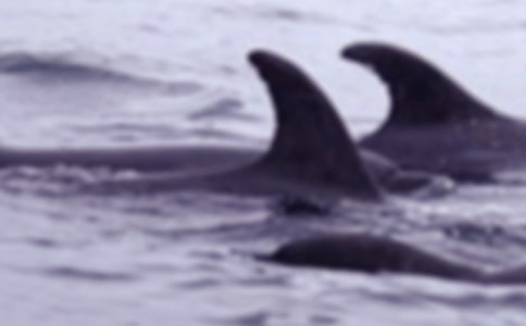 �������������