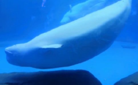 ��ɾ�����������700�֣�ͨ��22ƪ��