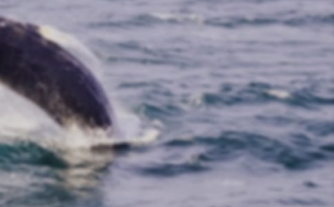 �������յ�����