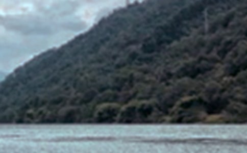 (必备)景色作文300字