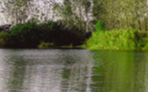 ����ѡ��Сѧ����ɫ������10ƪ