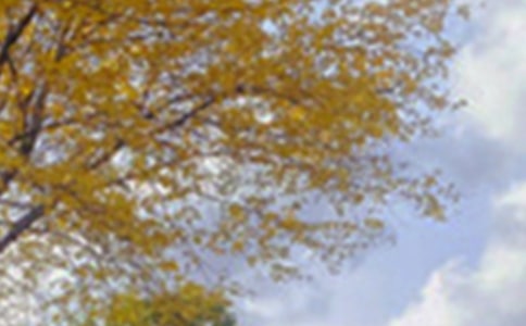 ��д������ɫ������ -����