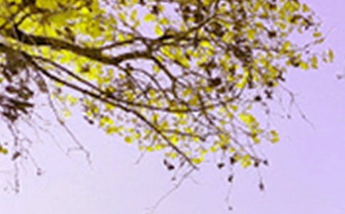 描写景色的句子(15篇)