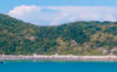 ��ɫ��д������4ƪ