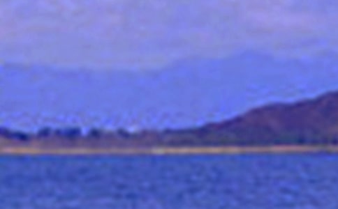 д���Ǿ�ɫ������