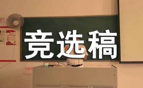 副大队长竞选稿作文800字