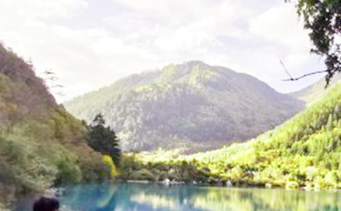 九寨沟的导游词【汇总4篇】