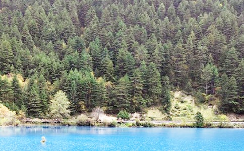 ��կ�����δ�����