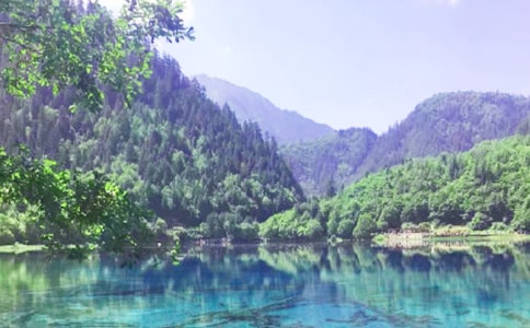 ����կ�����̰�