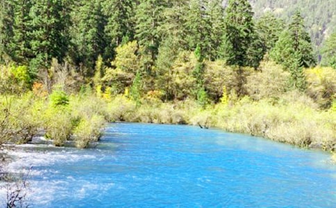 ��կ�����������δ�