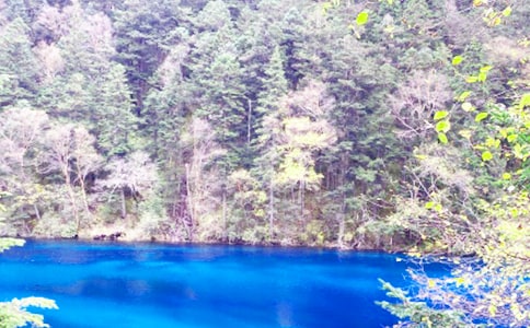 九寨沟游记作文(15篇)