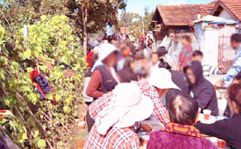 ɥ�¾�ϯ�´�