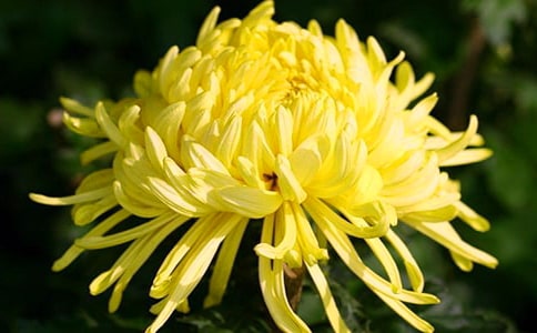 ���ڡ������ľջ��������㲻��