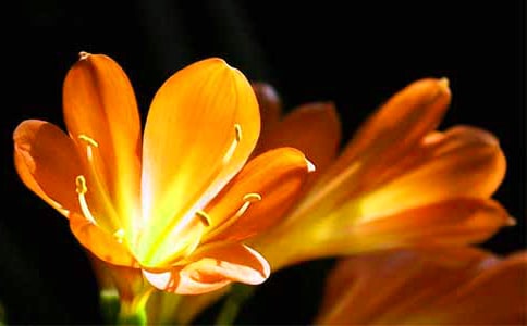 �۲���������ģ�ͨ��5ƪ��