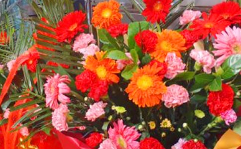 �µ꿪��ף�����