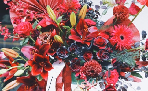 淘宝新店开张促销广告词