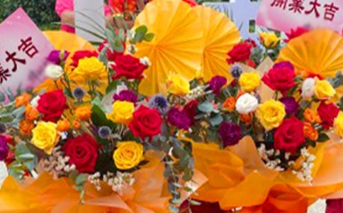 �����ͺ��ף������