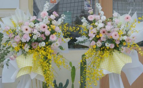 ����ݿ��������а������̰�