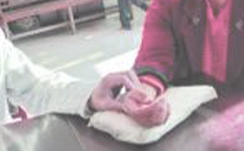 ���꼶�ϲ᣺��ѧ�ῴ������ѧ��ƣ�ͨ��7ƪ��