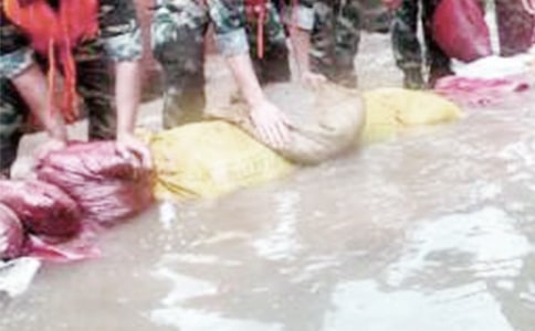 �������ʵ���ĵ���ᣨͨ��15ƪ��