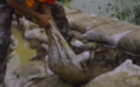 2021������ָ��˵Ĺ����ܽᣨ��ѡ6ƪ��