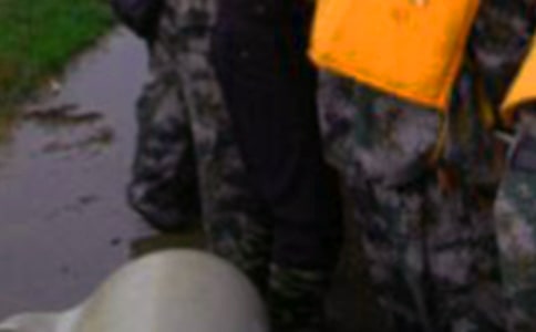 �������Ӣ���¼��ĵ�