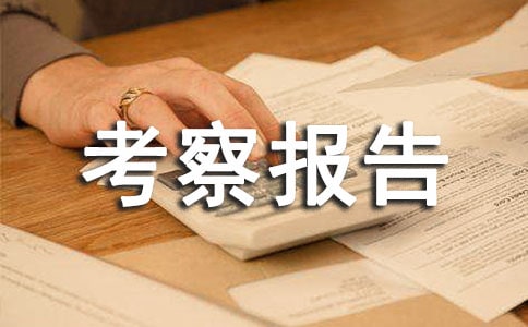 ��Ŀ������챨��