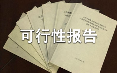 关于可行性报告写作指导