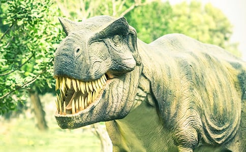 大班科学教案恐龙及反思