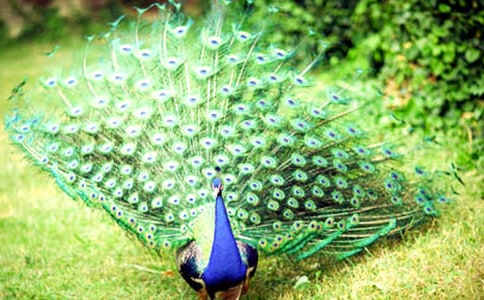 ��ȸ���Ϸɸ�������