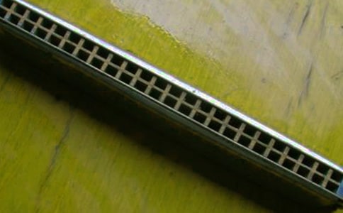 С����ѧ����������