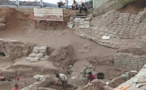 ��ʵ����������