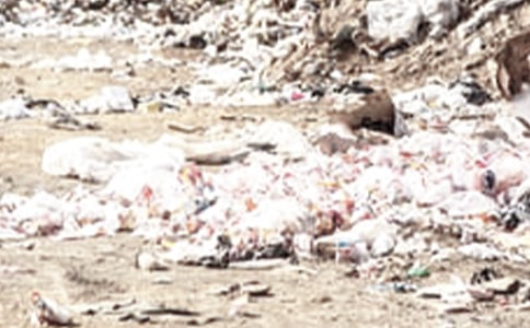 �����������