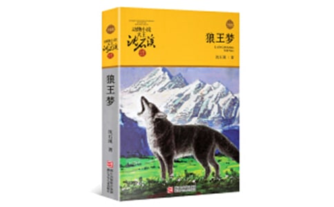 �����ζ���ʼ�900������