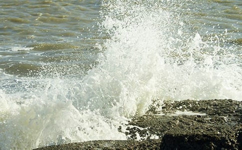 �������˻�