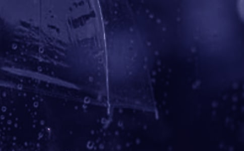 ��������Ψ��˵˵����50�侫ѡ