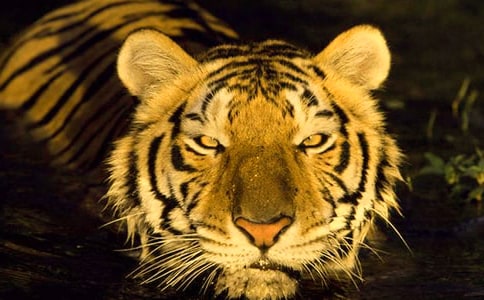 �����ϻ�̲���㵼�δ�