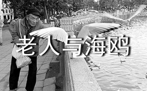 �����뺣Ÿ�����