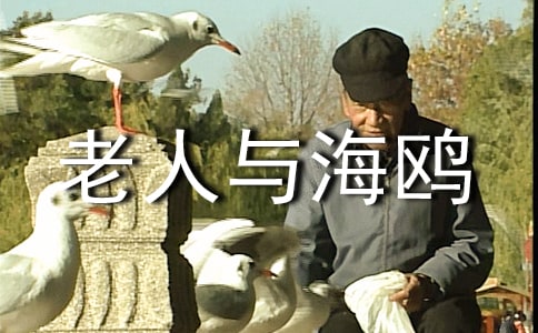 �������뺣Ÿ�и�