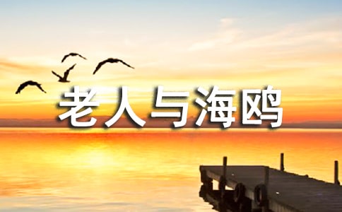 老人与海鸥教学反思